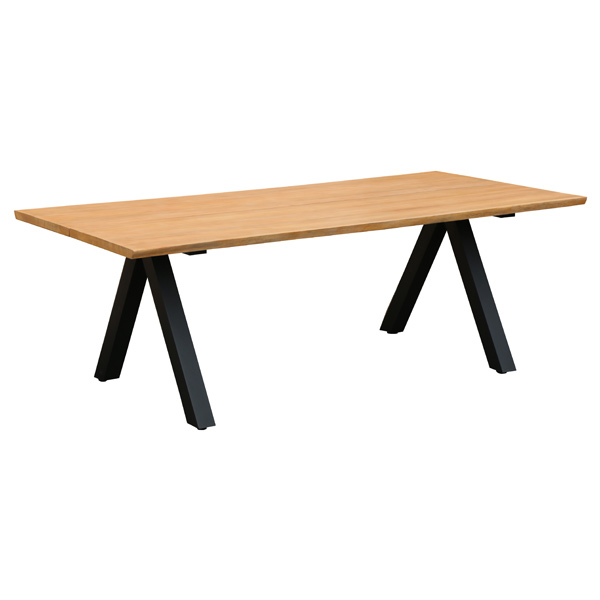 Rec. Table 100×240 LC10-TA1200
